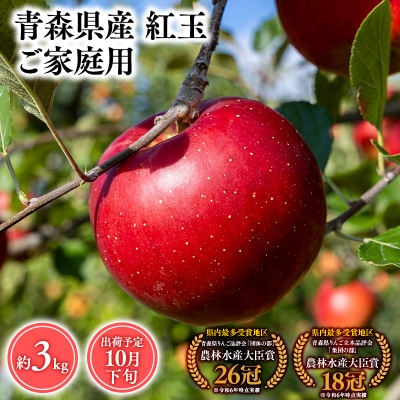 10月発送　【訳あり】家庭用紅玉3kg　【そと川りんご園・10月・りんご・紅玉・3kg】