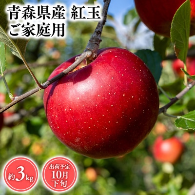 10月発送　【訳あり】家庭用紅玉3kg　【そと川りんご園・10月・りんご・紅玉・3kg】