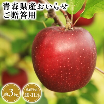 10月・11月発送　贈答用おいらせ3kg　【そと川りんご園・10月・11月・りんご・おいらせ】