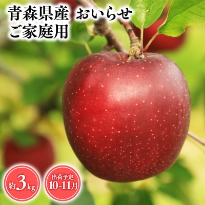 2025年産 10月・11月発送　【訳あり】家庭用おいらせ3kg　【そと川りんご園・10月・11月・