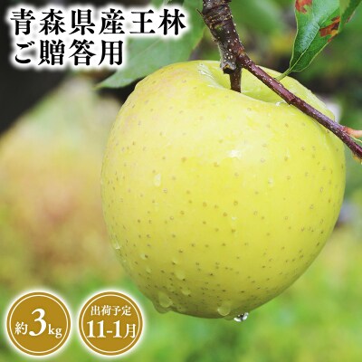 2026年産 11月～1月発送　贈答用王林3kg　【そと川りんご園・11月・12月・1月・青森県産・