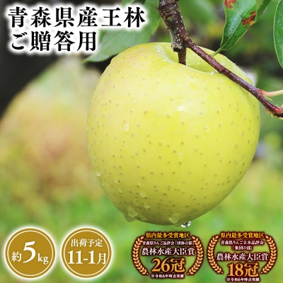 2025年産 11月〜1月発送 贈答用王林5kg 【そと川りんご園・11月・12月・1月・青森県産・