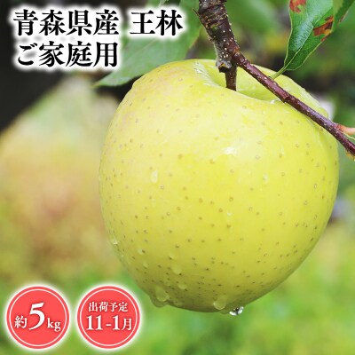 2026年産 11月～1月発送　【訳あり】家庭用王林5kg　【そと川りんご園・11月・12月・1月・