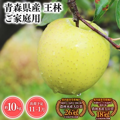 2025年産 11月～1月発送　【訳あり】家庭用王林10kg　【そと川りんご園・11月・12月・1月