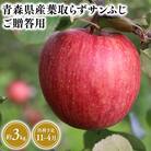 11月～4月発送　贈答用葉とらずサンふじ3kg　【そと川りんご園・りんご】