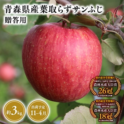 11月～4月発送　贈答用葉とらずサンふじ3kg　【そと川りんご園・りんご】