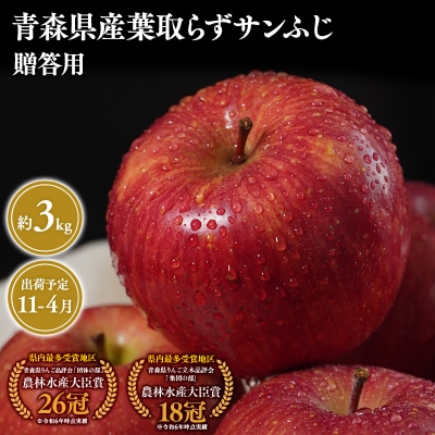 11月～4月発送　贈答用葉とらずサンふじ3kg　【そと川りんご園・りんご】