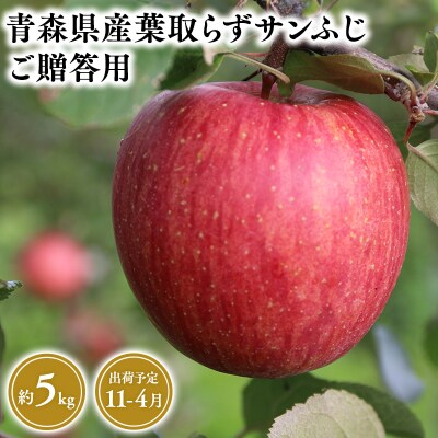 11月～4月発送　贈答用葉とらずサンふじ5kg　【そと川りんご園・りんご】