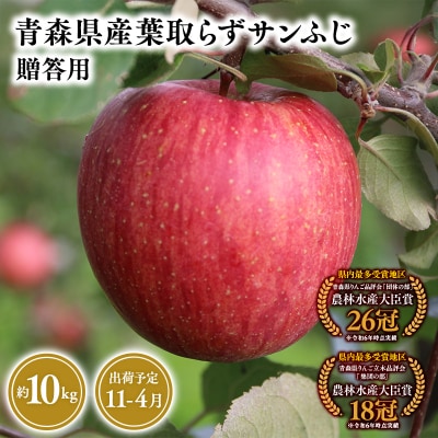 11月～4月発送　贈答用葉とらずサンふじ10kg　【そと川りんご園・りんご】