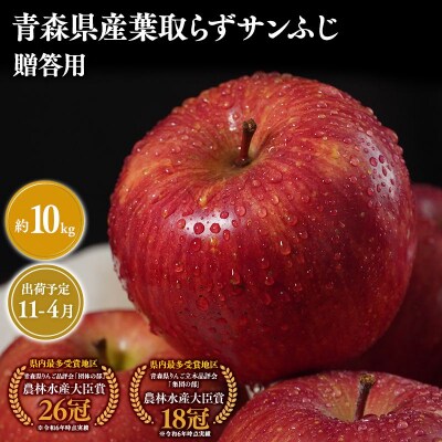 11月～4月発送　贈答用葉とらずサンふじ10kg　【そと川りんご園・りんご】