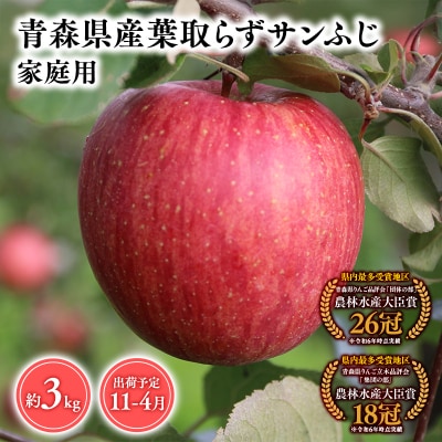11月～4月発送　【訳あり】家庭用葉とらずサンふじ3kg　【そと川りんご園・りんご】