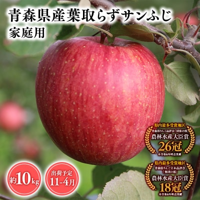 11月～4月発送　【訳あり】家庭用葉とらずサンふじ10kg　【そと川りんご園・りんご】