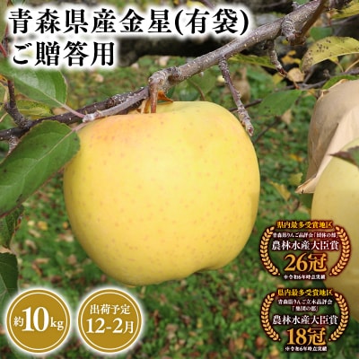 12月～2月発送　贈答用金星(有袋)10kg　【そと川りんご園・11月・12月・1月・2月・りんご】