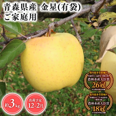 12月～2月発送　【訳あり】家庭用金星(有袋)3kg【そと川りんご園・りんご】