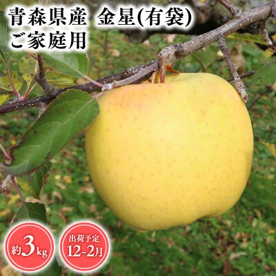 12月～2月発送　【訳あり】家庭用金星(有袋)3kg【そと川りんご園・りんご】