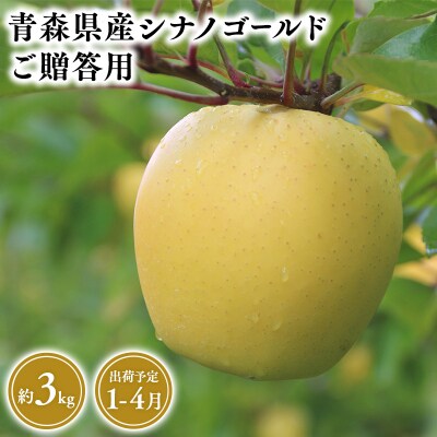 1月～4月発送　贈答用シナノゴールド3kg　【そと川りんご園】