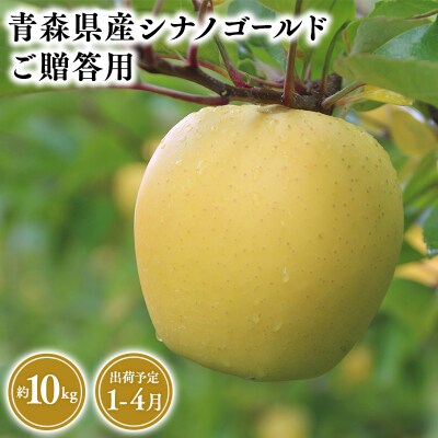 1月～4月発送　贈答用シナノゴールド10kg　【そと川りんご園】