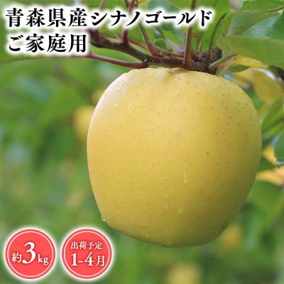 1月～5月発送　【訳あり】家庭用シナノゴールド3kg　【そと川りんご園】