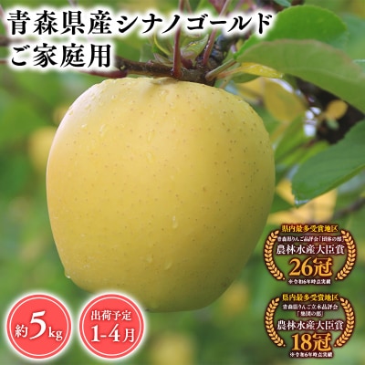 2025年産 1月〜4月発送 【訳あり】家庭用シナノゴールド5kg 【そと川りんご園・1月・2月・3