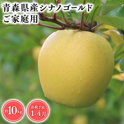 2025年産 1月～4月発送　【訳あり】家庭用シナノゴールド10kg　【そと川りんご園・1月・2月・