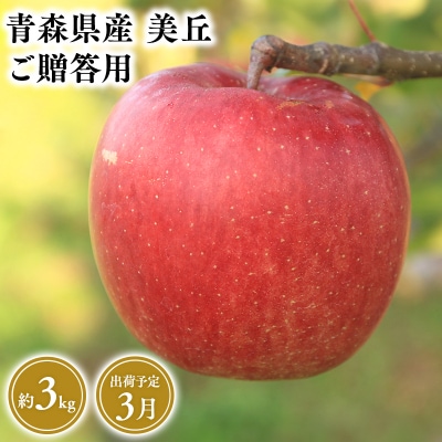 2025年産 3月発送　贈答用美丘3kg【青森県 平川市 そと川りんご園】3月発送 贈答 青森 青森