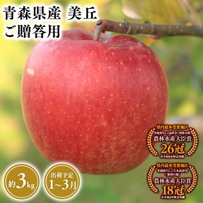 2027年1～3月発送　贈答用美丘3kg【青森県 平川市 そと川りんご園】
