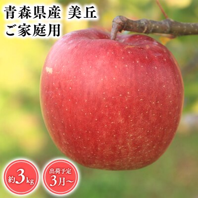 2026年産 3月発送　【訳あり】家庭用美丘3kg　【そと川りんご園・3月・りんご・美丘・3kg】
