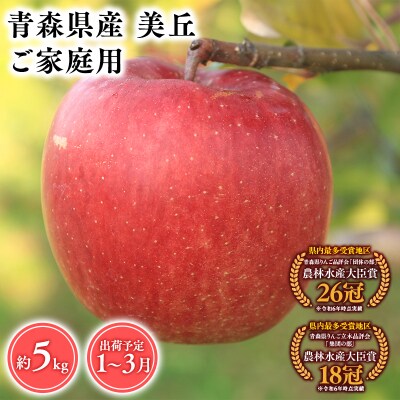 2027年1～3月発送　【訳あり】家庭用美丘5kg【青森県 平川市 そと川りんご園】