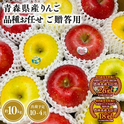 品種お任せ　贈答用　旬のりんご詰め合わせ10kg