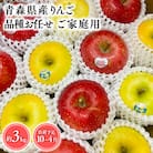 品種お任せ　【訳あり】家庭用　旬のりんご詰め合わせ3kg