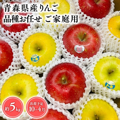 品種お任せ　【訳あり】家庭用　旬のりんご詰め合わせ5kg