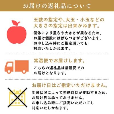 品種お任せ　【訳あり】家庭用　旬のりんご詰め合わせ5kg