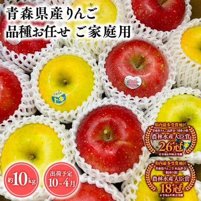 品種お任せ　【訳あり】家庭用　旬のりんご詰め合わせ10kg