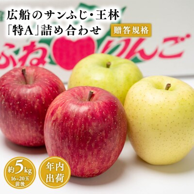 年内 贈答用 広船のサンふじ王林詰合せ約5kg・特A16～20玉　12月10日申込締め切り