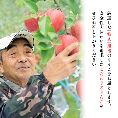 年明け 贈答用 広船のサンふじ王林詰合せ約5kg・特A16～20玉　1月30日申込締め切り