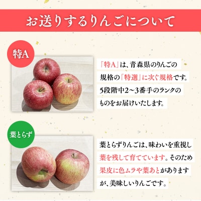 12月 サンふじりんご「特A」約3kg 糖度13度以上 【森山商店・平川市産・青森りんご・12月】