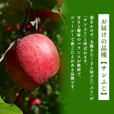 2月 サンふじりんご「特A」約3kg 糖度13度以上 【森山商店・平川市産・青森りんご・2月】