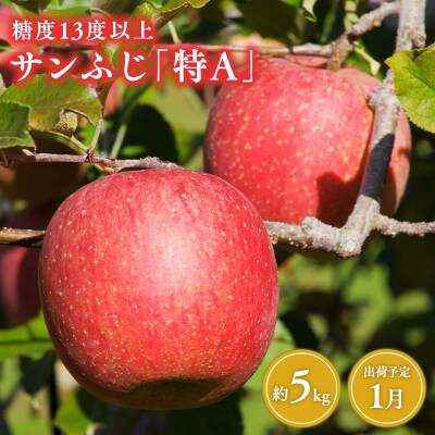 1月  サンふじりんご「特A」約5kg 糖度13度以上(14～20玉程度)【森山商店・平川市産】