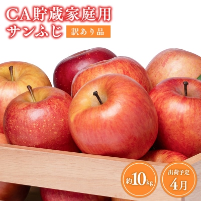 4月 訳ありCA貯蔵 サンふじ 約10kg
