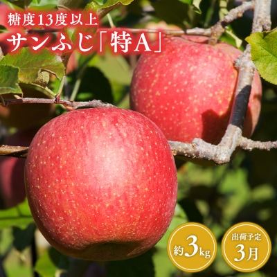 3月 サンふじりんご「特A」約3kg 糖度13度以上 【森山商店・平川市産・青森りんご・3月】