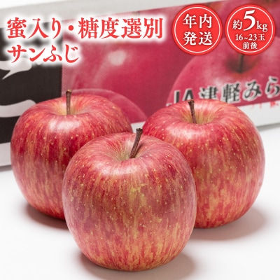 りんご 年内 サンふじ約5kg 蜜入り 糖度選別  