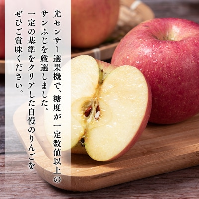年明け  糖度選別サンふじ 約3kg 【JA津軽みらい・平川市産・青森りんご・1月・2月】