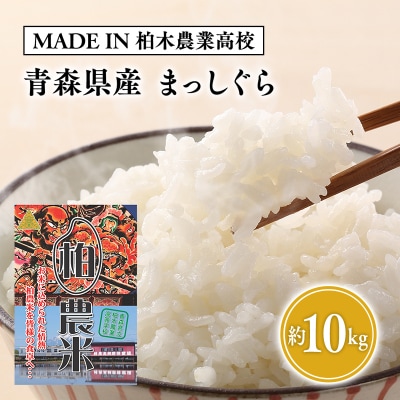 【MADE IN 柏木農業高校】11月中旬～発送 新米　令和6年産 まっしぐら 10kg