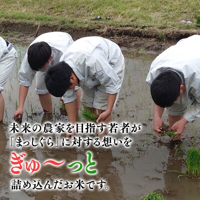 【MADE IN 柏木農業高校】11月中旬～発送 新米　令和6年産 まっしぐら 10kg