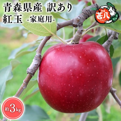 10月発送　訳あり　家庭用　甚八りんご紅玉3kg　【マルジンサンアップル】