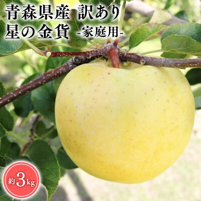 11月発送　訳あり　家庭用　甚八りんご星の金貨3kg　【マルジンサンアップル】　