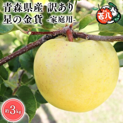 11月発送　訳あり　家庭用　甚八りんご星の金貨3kg　【マルジンサンアップル】　