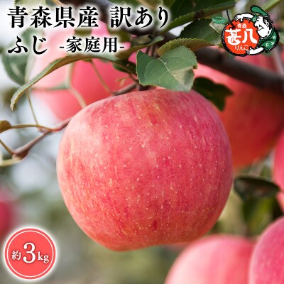 5～7月発送　訳あり　家庭用　甚八りんごふじ3kg　【マルジンサンアップル】　