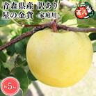 11月発送　訳あり　家庭用　甚八りんご星の金貨5kg　【マルジンサンアップル】