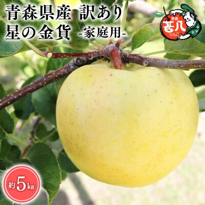 11月発送　訳あり　家庭用　甚八りんご星の金貨5kg　【マルジンサンアップル】